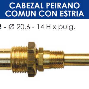 2132 2132 CABEZAL PEIRANO COMUN CON ESTRIA
